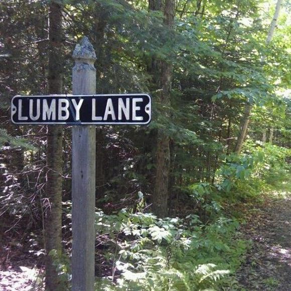 Meet your Posher, Patrick - Picture 1 of 1